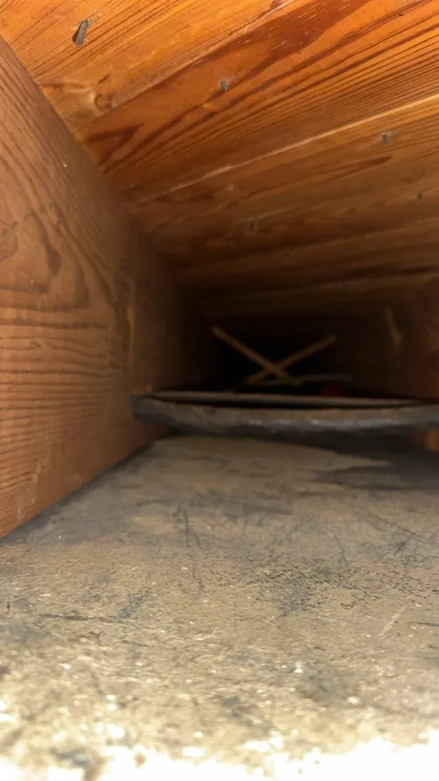 Floor-joist cavity after professional cleaning
