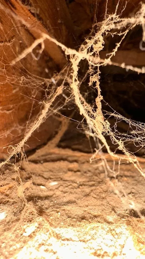Floor-joist cavity with dust before cleaning
