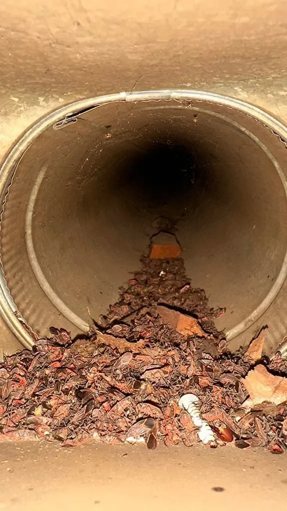Dust-lined air duct before cleaning