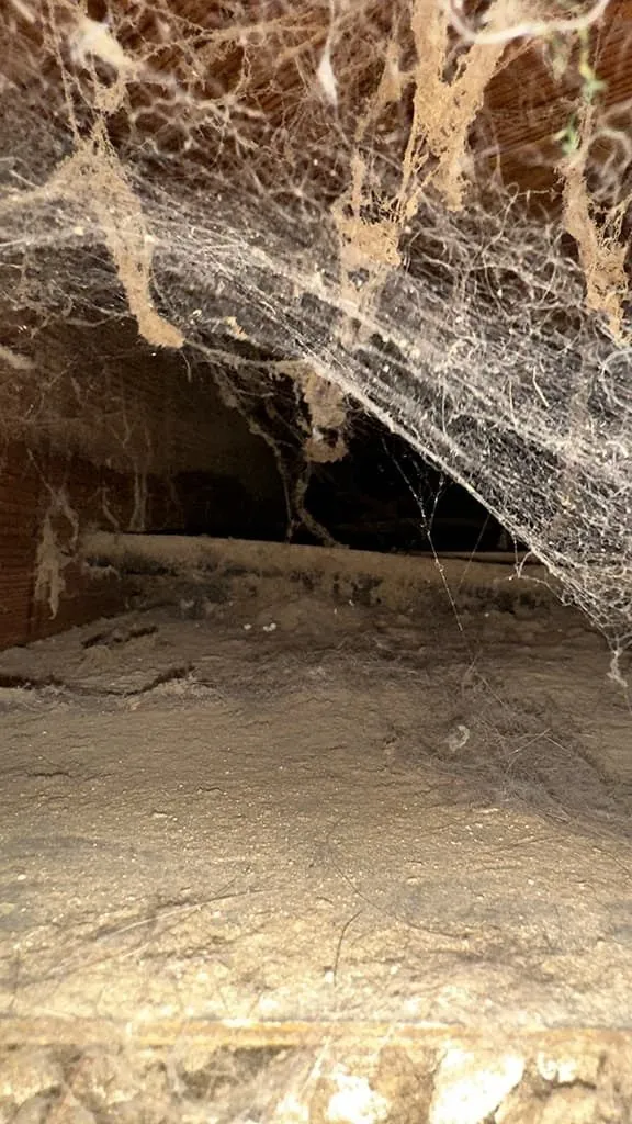 Debris inside a residential air duct before cleaning