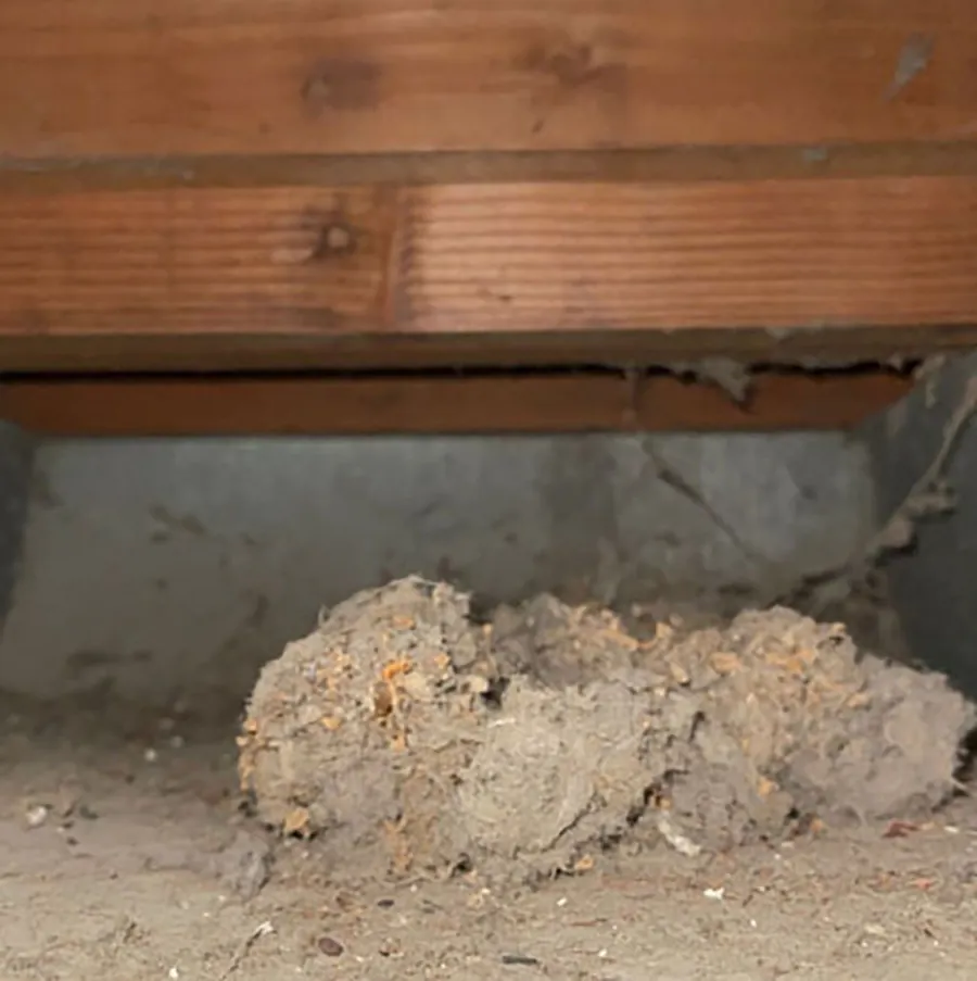 Dust and debris packed inside a metal air duct under floor joists