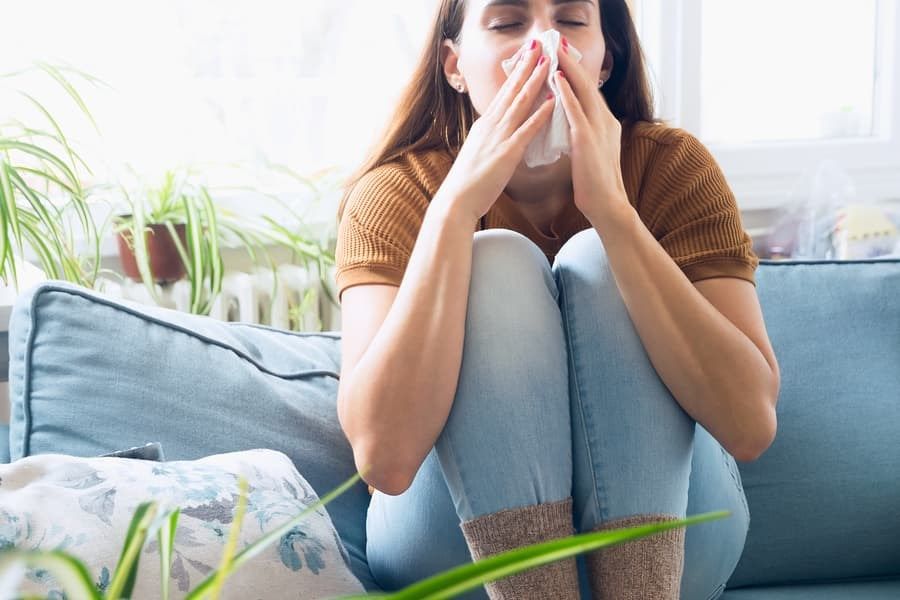 Can Air Duct Cleaning Help With Allergies?