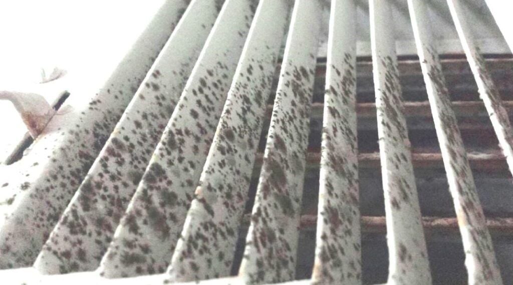 Air duct cleaning prevents the build-up of molds.