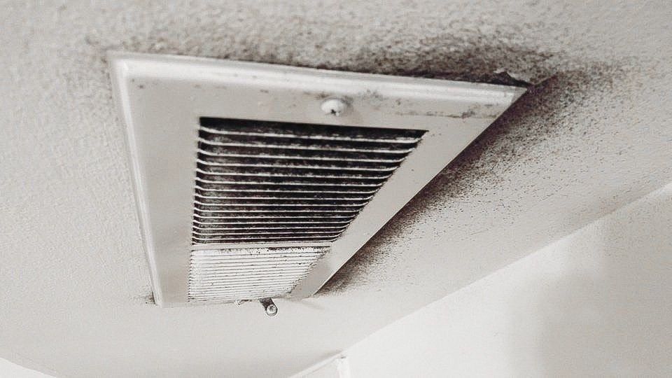 Mold