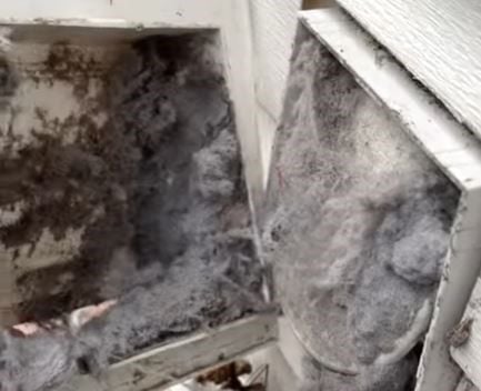 Remove the dryer vent cover