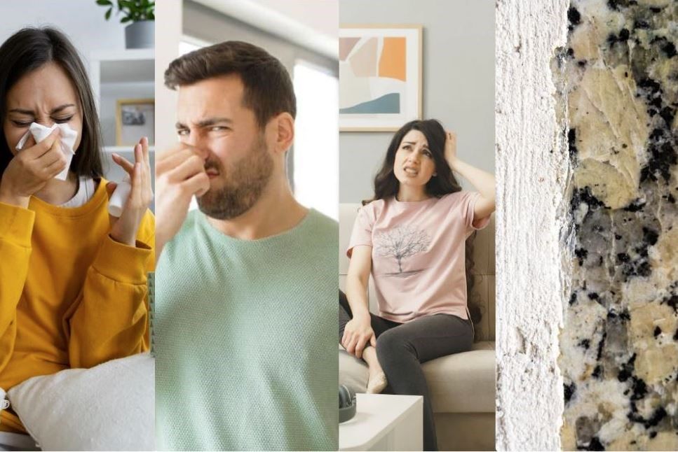 What Are The Signs Of Dirty Air Ducts?