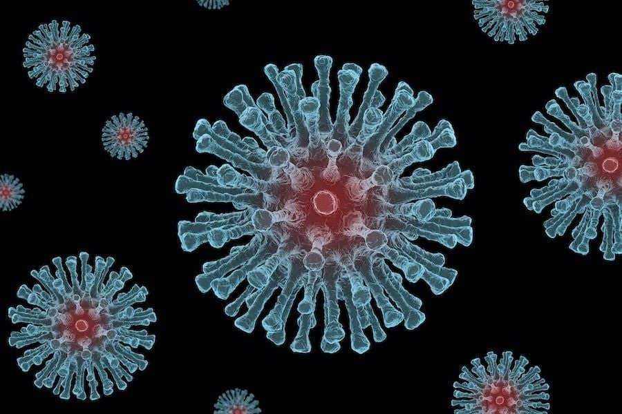 Viruses