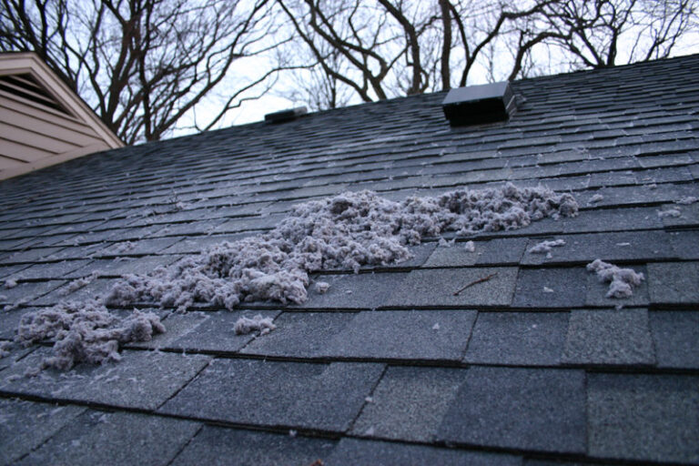 How To Clean A Roof Dryer Vent A Complete Guide